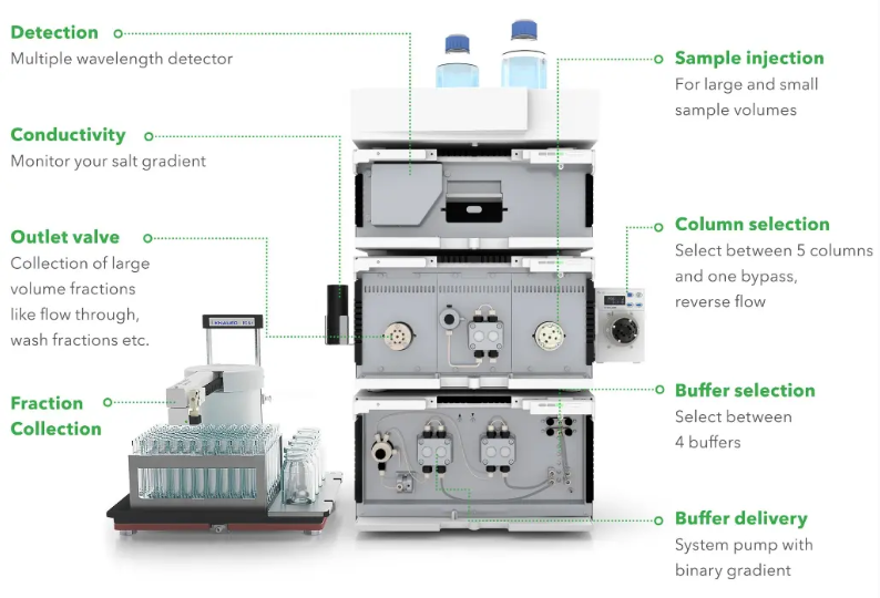 FPLC - Bio-Purification – Image 2